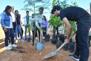 Ağacı dik, yapı kullanma iznini al