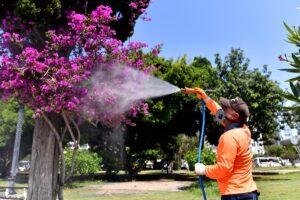 160 bin noktada ilaçlama yapılıyor